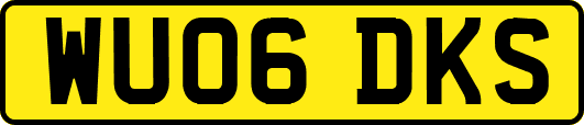 WU06DKS