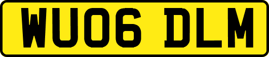 WU06DLM