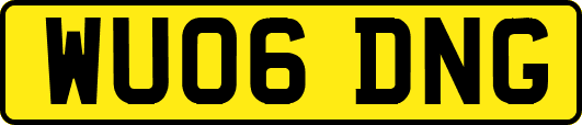 WU06DNG