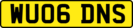 WU06DNS