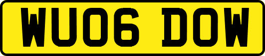 WU06DOW