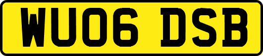 WU06DSB