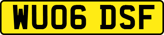 WU06DSF