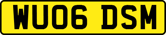 WU06DSM
