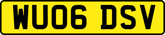 WU06DSV