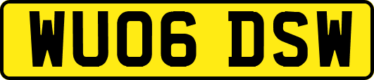 WU06DSW