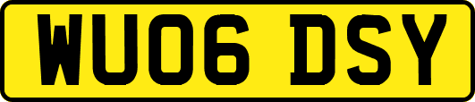 WU06DSY