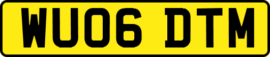 WU06DTM