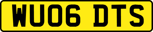 WU06DTS