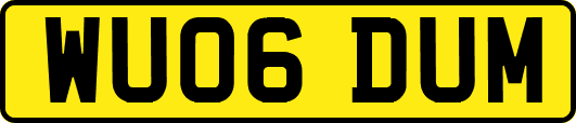 WU06DUM