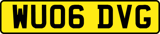 WU06DVG