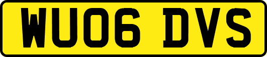 WU06DVS