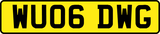 WU06DWG