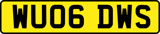 WU06DWS
