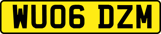 WU06DZM