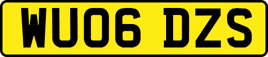 WU06DZS