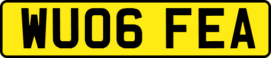 WU06FEA
