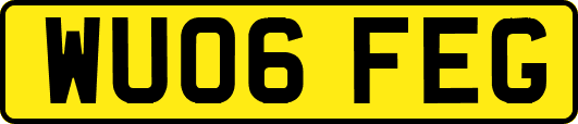WU06FEG