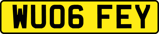 WU06FEY