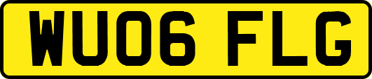 WU06FLG