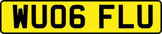 WU06FLU