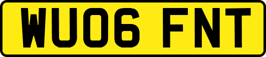 WU06FNT