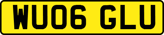 WU06GLU