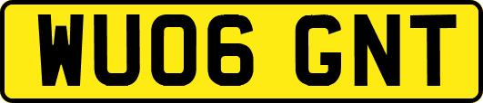 WU06GNT