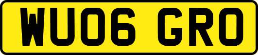 WU06GRO
