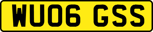 WU06GSS