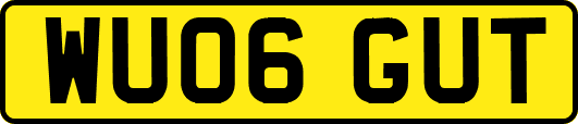 WU06GUT