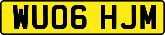 WU06HJM
