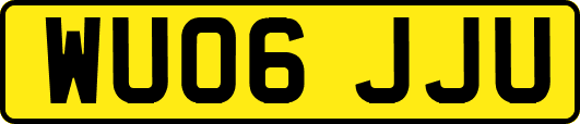 WU06JJU