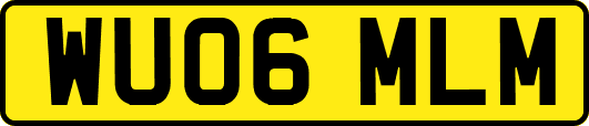 WU06MLM