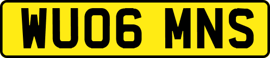 WU06MNS