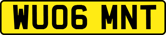 WU06MNT