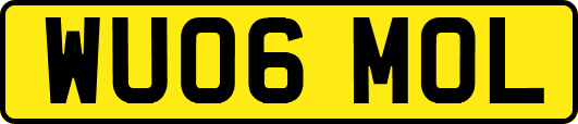 WU06MOL