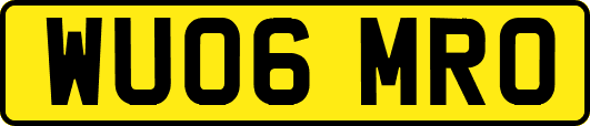 WU06MRO