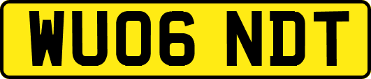 WU06NDT