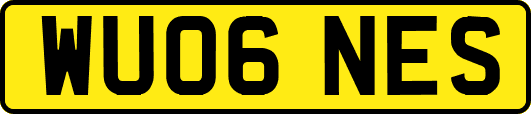WU06NES