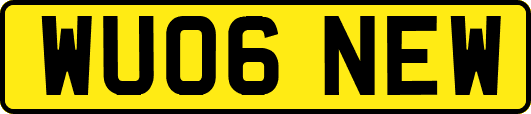 WU06NEW