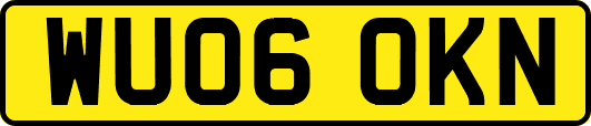WU06OKN
