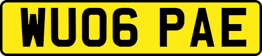 WU06PAE