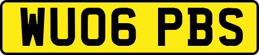 WU06PBS