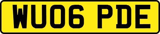 WU06PDE