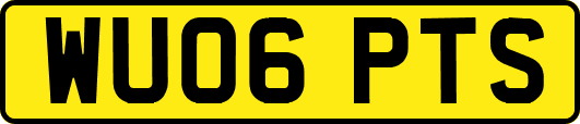WU06PTS