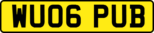 WU06PUB
