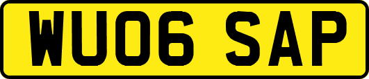 WU06SAP