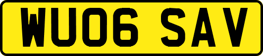 WU06SAV