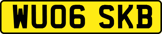WU06SKB